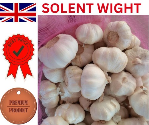20x garlic cloves solent - 20x,