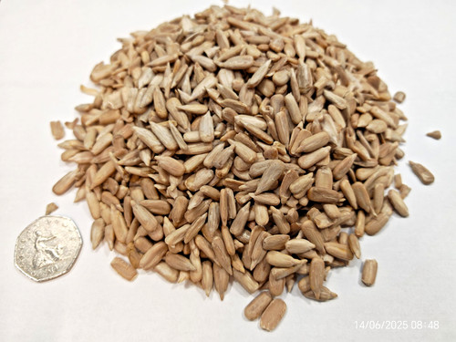 20kg jumbo sunflower hearts - jumbo,