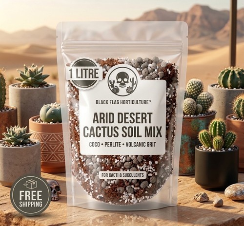 Premium arid desert - arid,