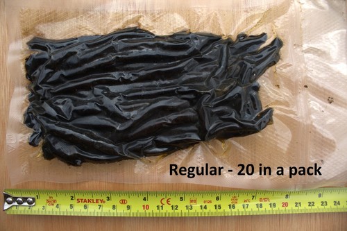 Preserved lugworm sea fishing - sea,