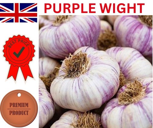 20x garlic cloves for - cloves,