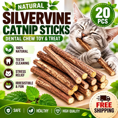 20pcs natural silvervine - natural,