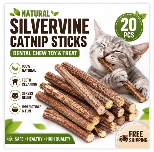20pcs natural silvervine - 20pcs,